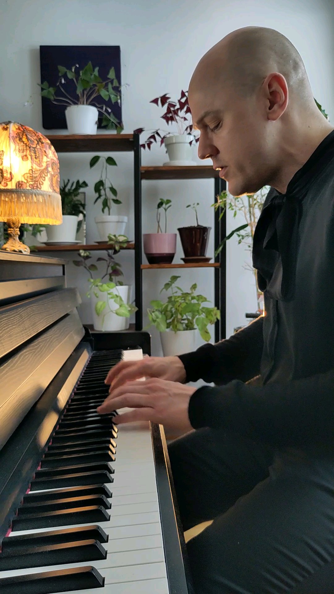 2024 – livsfriåret